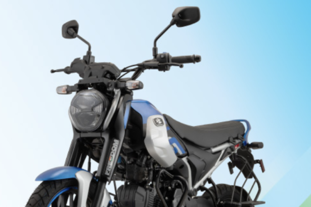 Bajaj Freedom